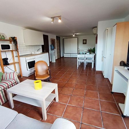 Apartamento-Estudio En Villa Con Piscina 말라가 외부 사진